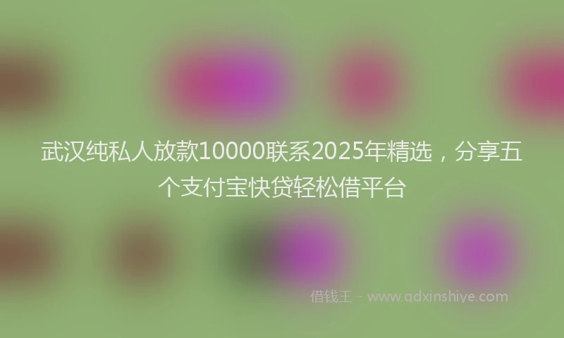 武汉纯私人放款10000联系2025年精选，分享五个支付宝快贷轻松借平台