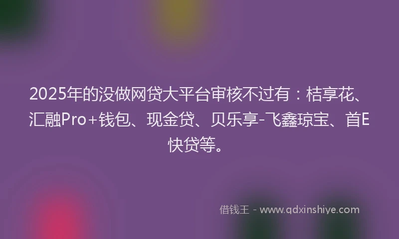 2025年的没做网贷大平台审核不过有：桔享花、汇融Pro+钱包、现金贷、贝乐享-飞鑫琼宝、首E快贷等。