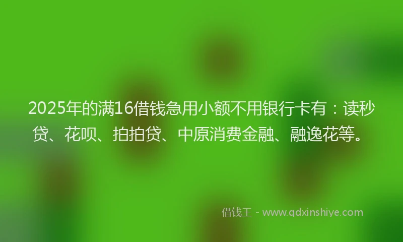 2025年的满16借钱急用小额不用银行卡有:读秒贷、花呗、拍拍贷、中原消费金融、融逸花等。