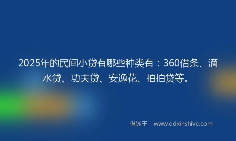 2025年的民间小贷有哪些种类有：360借条、滴水贷、功夫贷、安逸花、拍拍贷等。