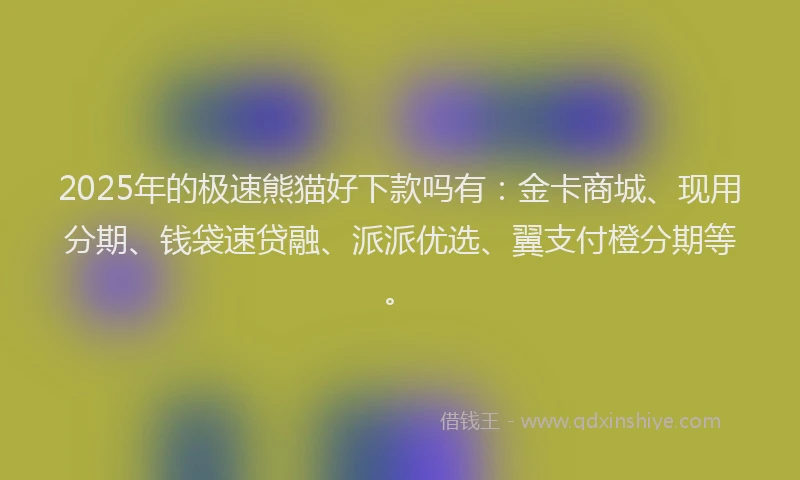 2025年的极速熊猫好下款吗有：金卡商城、现用分期、钱袋速贷融、派派优选、翼支付橙分期等。