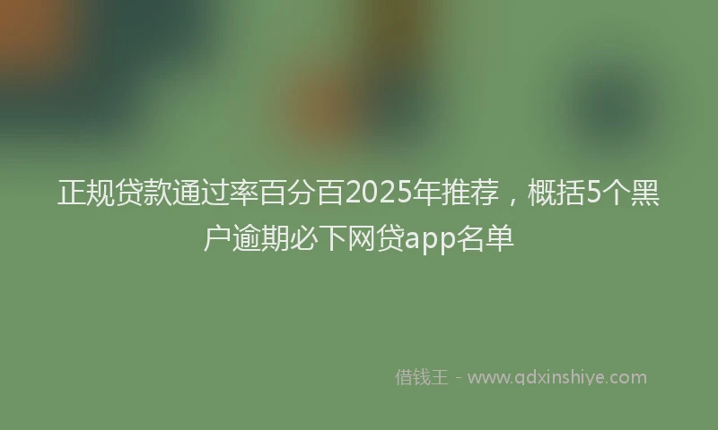 正规贷款通过率百分百2025年推荐，概括5个黑户逾期必下网贷app名单
