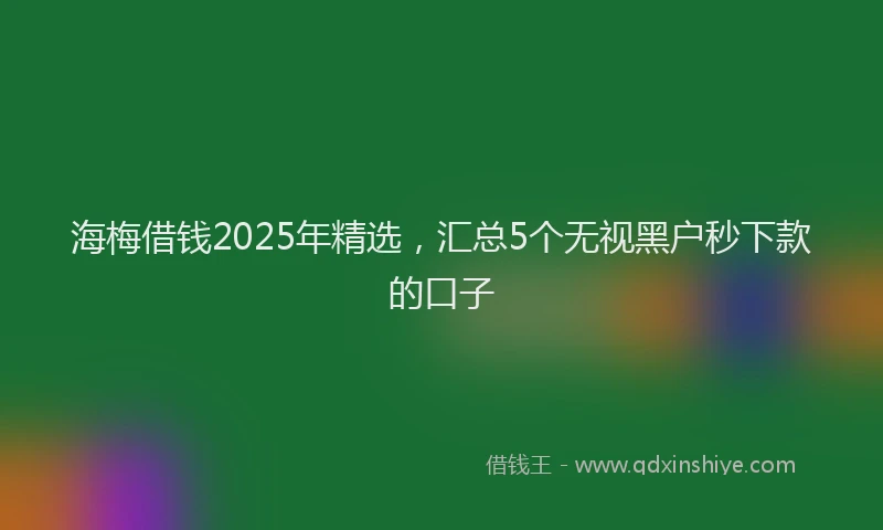 海梅借钱2025年精选，汇总5个无视黑户秒下款的口子