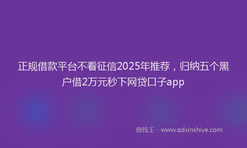 正规借款平台不看征信2025年推荐，归纳五个黑户借2万元秒下网贷口子app