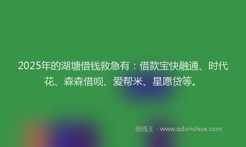 2025年的湖塘借钱救急有：借款宝快融通、时代花、森森借呗、爱帮米、星愿贷等。