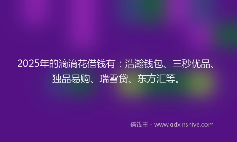 2025年的滴滴花借钱有：浩瀚钱包、三秒优品、独品易购、瑞雪贷、东方汇等。