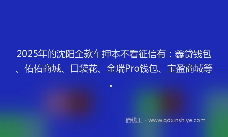 2025年的沈阳全款车押本不看征信有：鑫贷钱包、佑佑商城、口袋花、金瑞Pro钱包、宝盈商城等。
