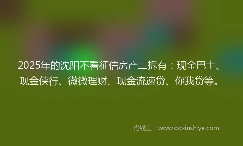 2025年的沈阳不看征信房产二拆有：现金巴士、现金侠行、微微理财、现金流速贷、你我贷等。