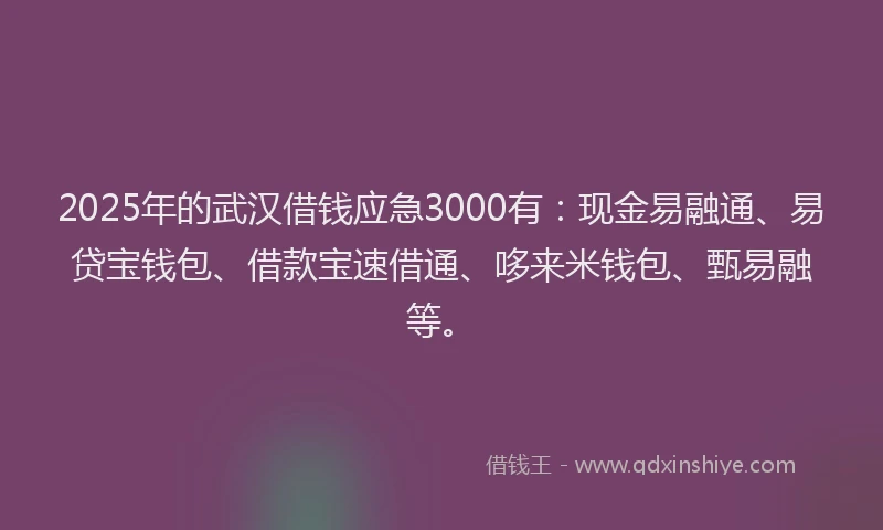 2025年的武汉借钱应急3000有：现金易融通、易贷宝钱包、借款宝速借通、哆来米钱包、甄易融等。