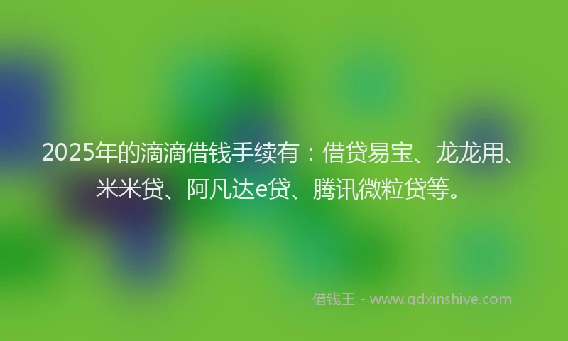 2025年的滴滴借钱手续有：借贷易宝、龙龙用、米米贷、阿凡达e贷、腾讯微粒贷等。