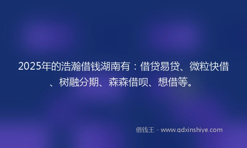 2025年的浩瀚借钱湖南有：借贷易贷、微粒快借、树融分期、森森借呗、想借等。