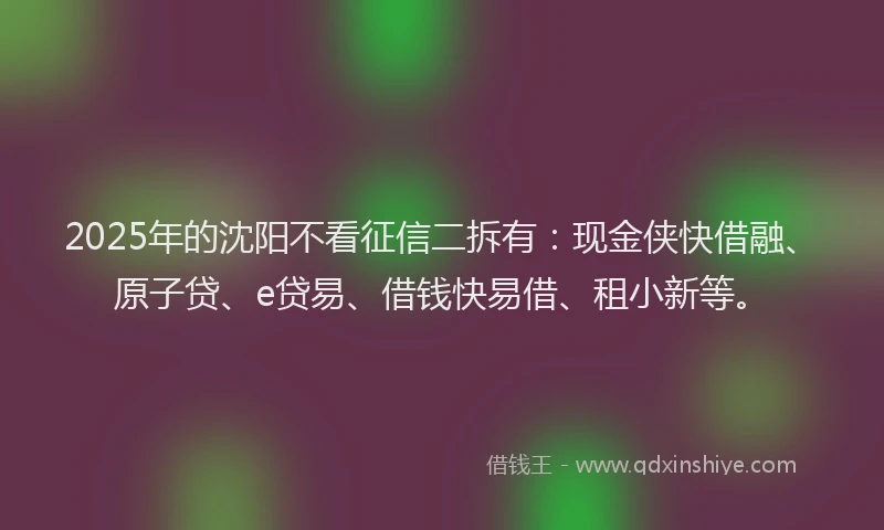 2025年的沈阳不看征信二拆有：现金侠快借融、原子贷、e贷易、借钱快易借、租小新等。