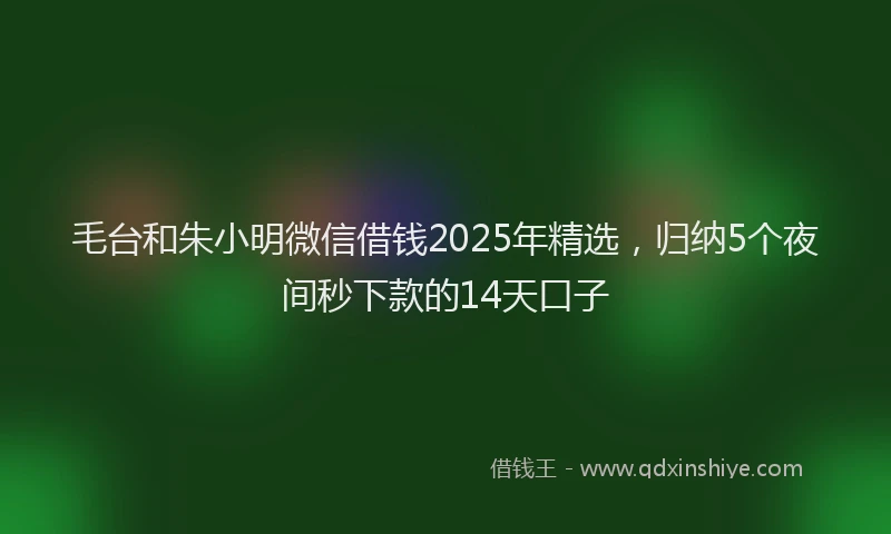 毛台和朱小明微信借钱2025年精选，归纳5个夜间秒下款的14天口子