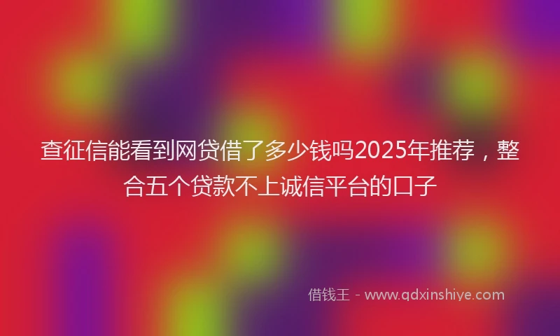 查征信能看到网贷借了多少钱吗2025年推荐，整合五个贷款不上诚信平台的口子