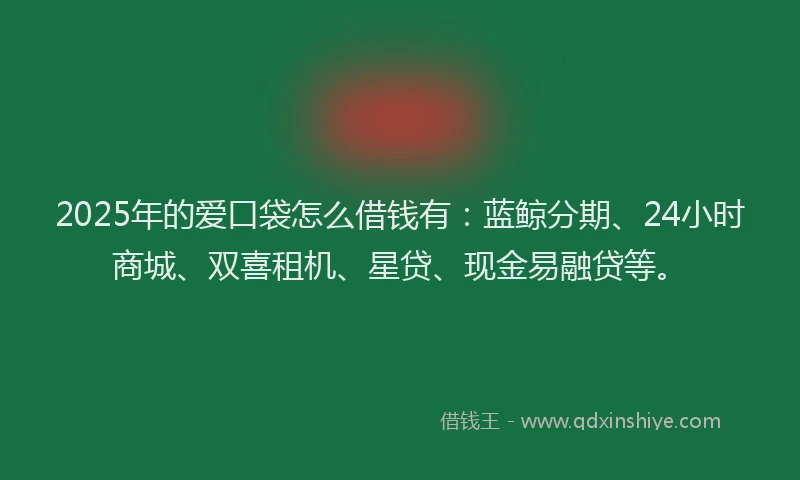 2025年的爱口袋怎么借钱有：蓝鲸分期、24小时商城、双喜租机、星贷、现金易融贷等。