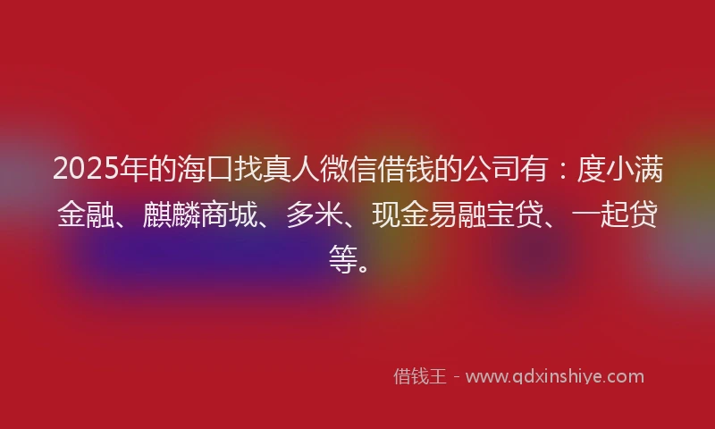2025年的海口找真人微信借钱的公司有：度小满金融、麒麟商城、多米、现金易融宝贷、一起贷等。