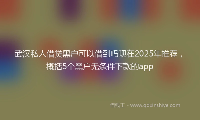 武汉私人借贷黑户可以借到吗现在2025年推荐，概括5个黑户无条件下款的app