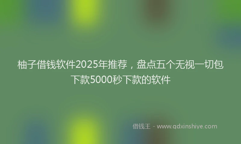 柚子借钱软件2025年推荐，盘点五个无视一切包下款5000秒下款的软件