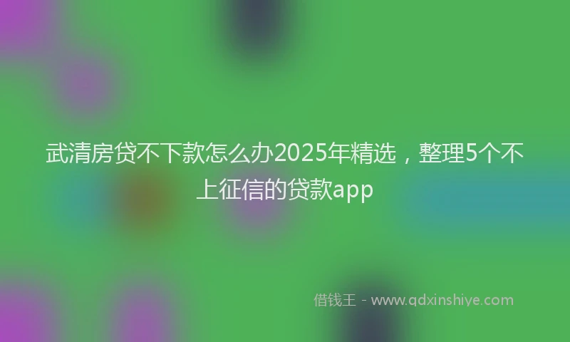 武清房贷不下款怎么办2025年精选，整理5个不上征信的贷款app