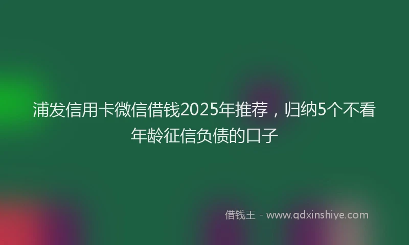 浦发信用卡微信借钱2025年推荐，归纳5个不看年龄征信负债的口子