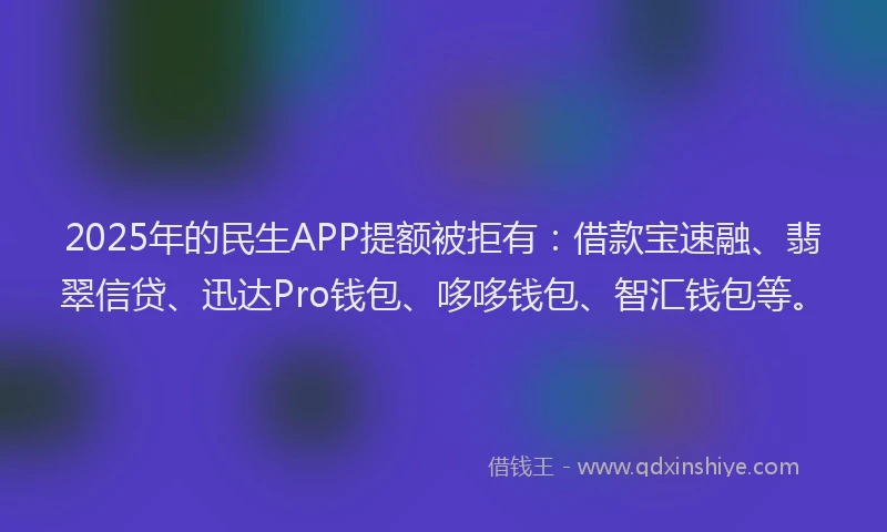 2025年的民生APP提额被拒有：借款宝速融、翡翠信贷、迅达Pro钱包、哆哆钱包、智汇钱包等。
