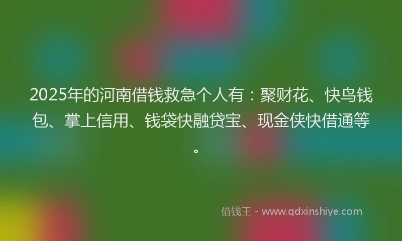 2025年的河南借钱救急个人有：聚财花、快鸟钱包、掌上信用、钱袋快融贷宝、现金侠快借通等。