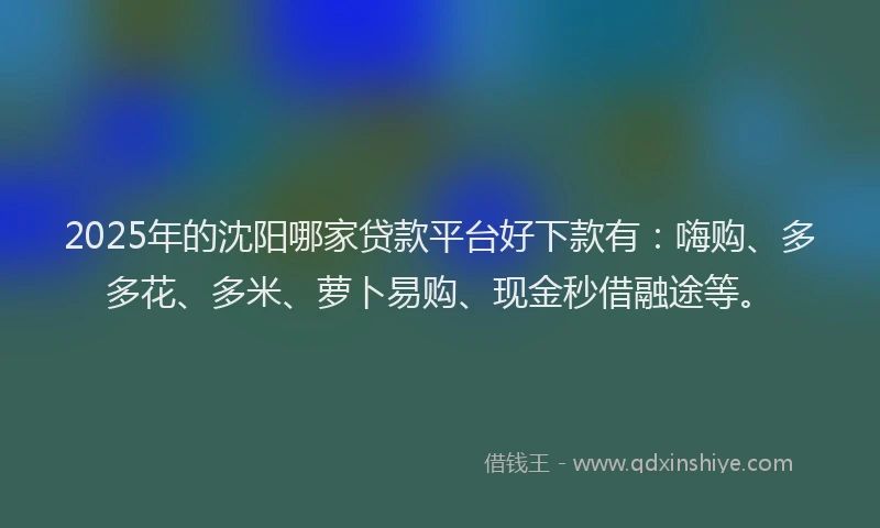 2025年的沈阳哪家贷款平台好下款有：嗨购、多多花、多米、萝卜易购、现金秒借融途等。