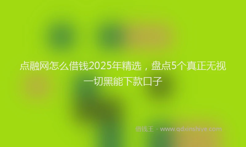点融网怎么借钱2025年精选，盘点5个真正无视一切黑能下款口子