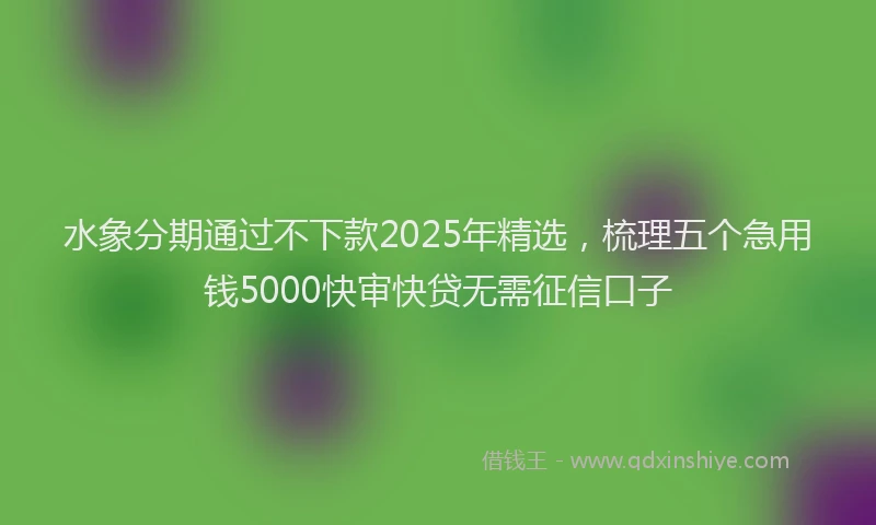 水象分期通过不下款2025年精选，梳理五个急用钱5000快审快贷无需征信口子
