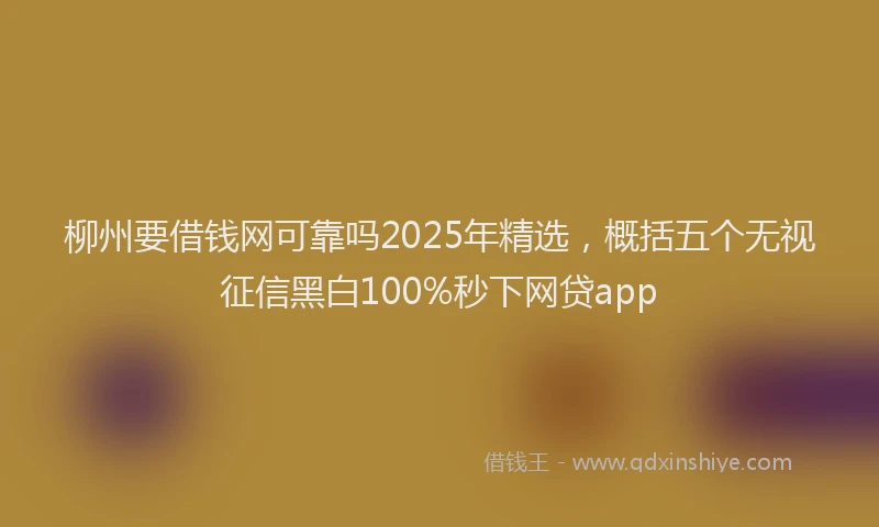 柳州要借钱网可靠吗2025年精选，概括五个无视征信黑白100%秒下网贷app