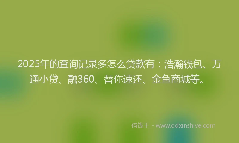 2025年的查询记录多怎么贷款有：浩瀚钱包、万通小贷、融360、替你速还、金鱼商城等。