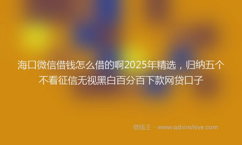 海口微信借钱怎么借的啊2025年精选，归纳五个不看征信无视黑白百分百下款网贷口子