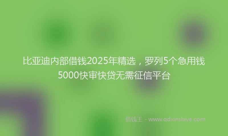 比亚迪内部借钱2025年精选，罗列5个急用钱5000快审快贷无需征信平台