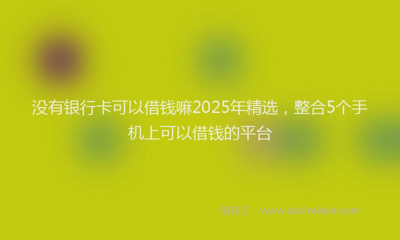 没有银行卡可以借钱嘛2025年精选，整合5个手机上可以借钱的平台