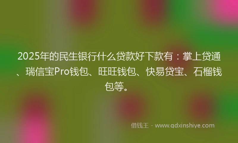 2025年的民生银行什么贷款好下款有：掌上贷通、瑞信宝Pro钱包、旺旺钱包、快易贷宝、石榴钱包等。