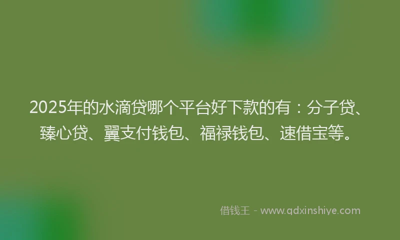 2025年的水滴贷哪个平台好下款的有：分子贷、臻心贷、翼支付钱包、福禄钱包、速借宝等。