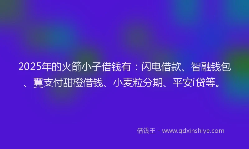2025年的火箭小子借钱有：闪电借款、智融钱包、翼支付甜橙借钱、小麦粒分期、平安i贷等。