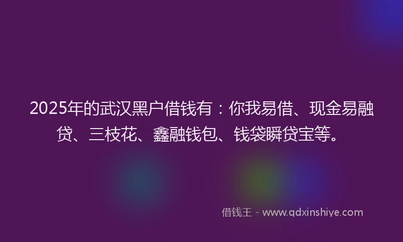 2025年的武汉黑户借钱有：你我易借、现金易融贷、三枝花、鑫融钱包、钱袋瞬贷宝等。