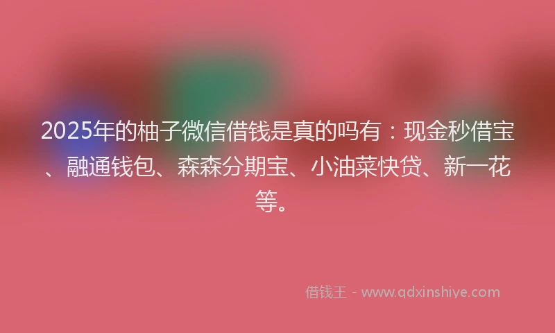 2025年的柚子微信借钱是真的吗有：现金秒借宝、融通钱包、森森分期宝、小油菜快贷、新一花等。