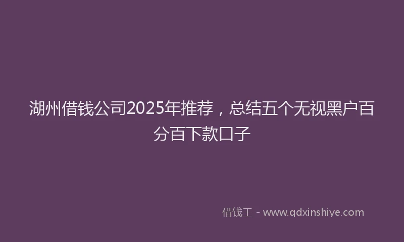 湖州借钱公司2025年推荐，总结五个无视黑户百分百下款口子