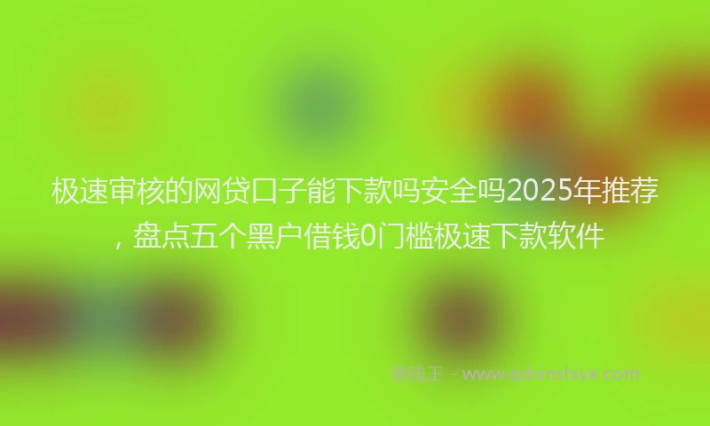 极速审核的网贷口子能下款吗安全吗2025年推荐，盘点五个黑户借钱0门槛极速下款软件