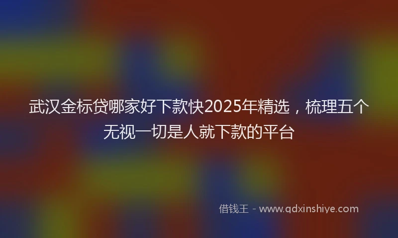 武汉金标贷哪家好下款快2025年精选，梳理五个无视一切是人就下款的平台