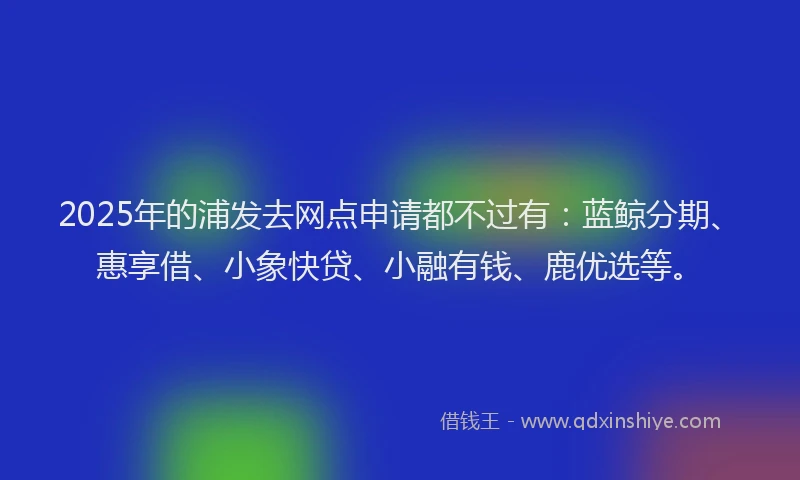 2025年的浦发去网点申请都不过有：蓝鲸分期、惠享借、小象快贷、小融有钱、鹿优选等。