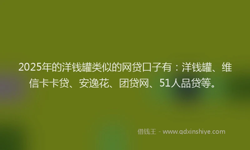2025年的洋钱罐类似的网贷口子有：洋钱罐、维信卡卡贷、安逸花、团贷网、51人品贷等。