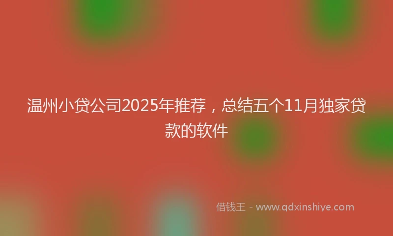 温州小贷公司2025年推荐，总结五个11月独家贷款的软件