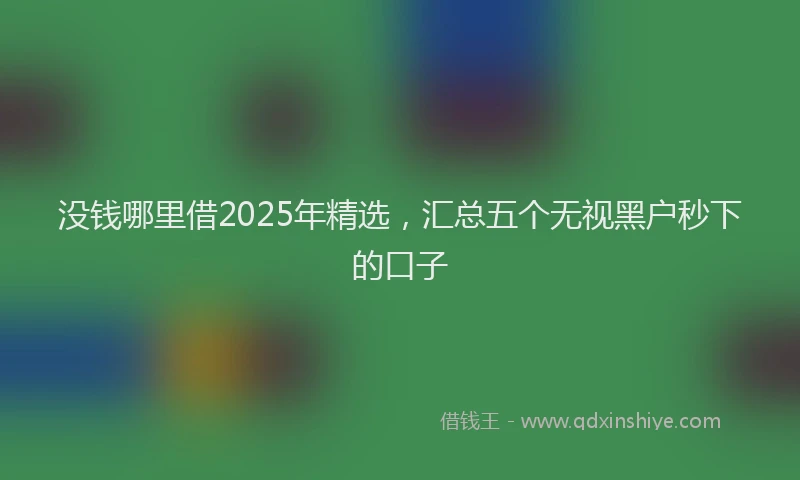 没钱哪里借2025年精选，汇总五个无视黑户秒下的口子