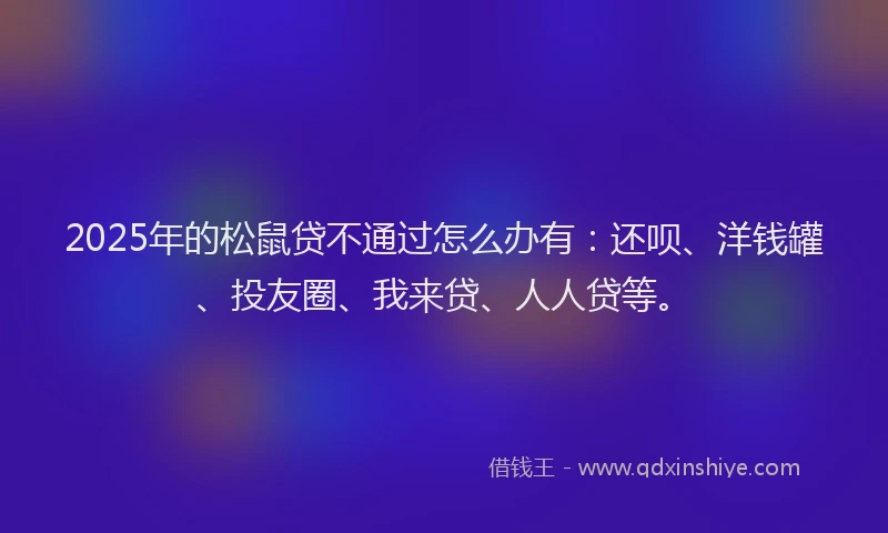 2025年的松鼠贷不通过怎么办有：还呗、洋钱罐、投友圈、我来贷、人人贷等。