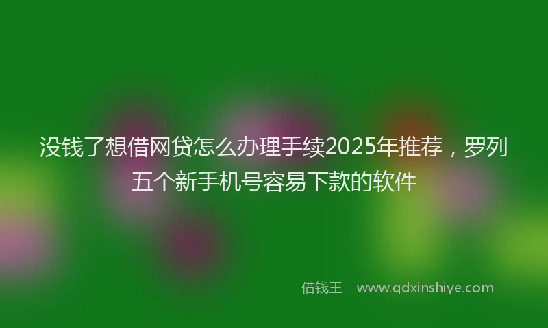 没钱了想借网贷怎么办理手续2025年推荐，罗列五个新手机号容易下款的软件