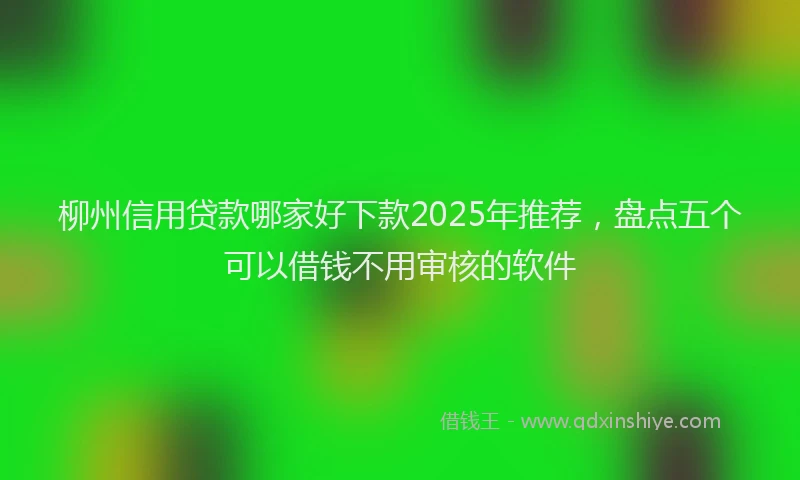 柳州信用贷款哪家好下款2025年推荐，盘点五个可以借钱不用审核的软件