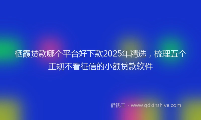 栖霞贷款哪个平台好下款2025年精选，梳理五个正规不看征信的小额贷款软件